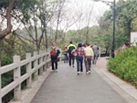 东南能源2014春茗暨白云山登高活动